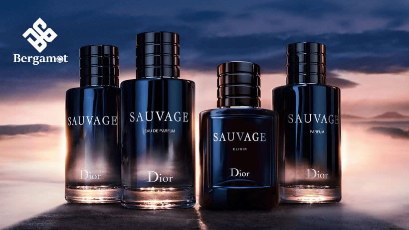 Nước hoa Dior Sauvage Eau De Parfum