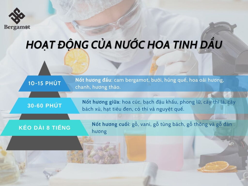 Hoạt động của nước hoa tinh dầu