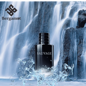 Hình ảnh mô tả Dior Sauvage