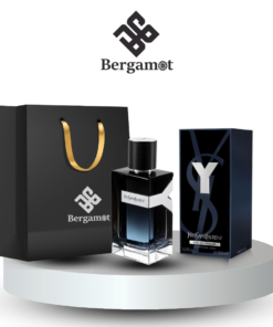 Yves Saint Laurent YSL