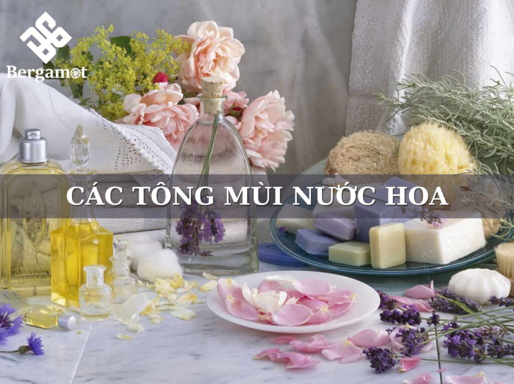 Các tông mùi nước hoa