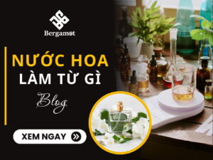 nước hoa làm từ gì