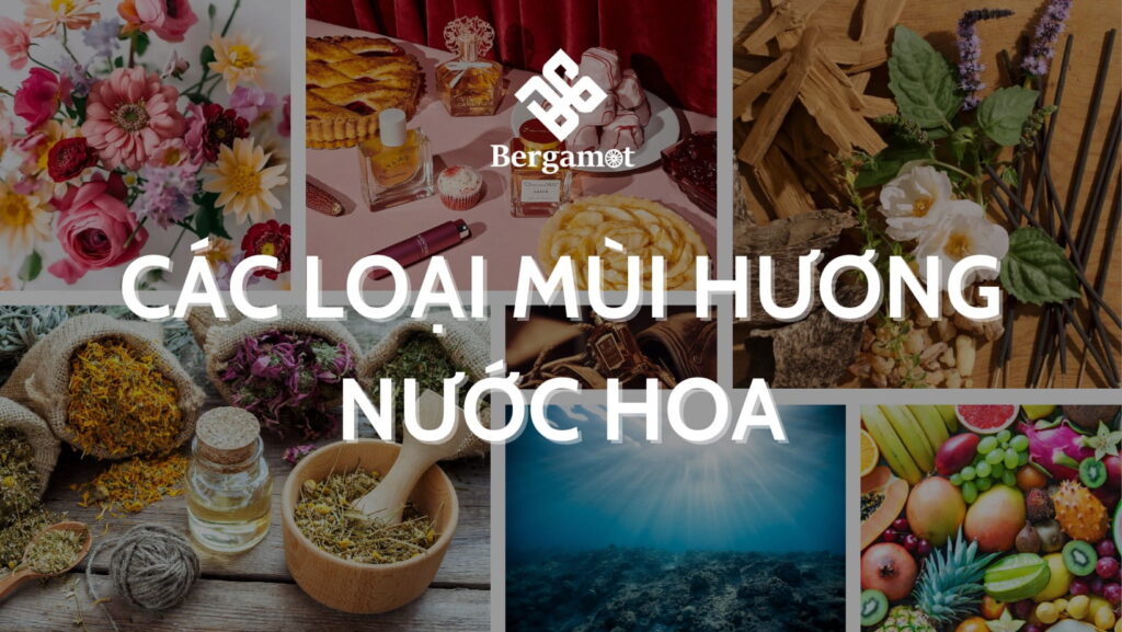 các loại mùi hương nước hoa