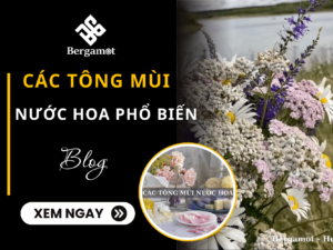 các tông mùi nước hoa phổ biến